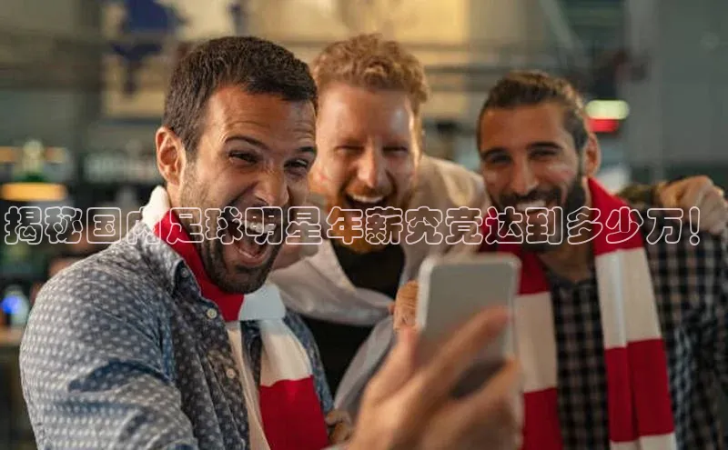 ayx·爱游戏(中国)官方网站百度教育揭秘国内足球明星年薪究竟达到多少万！