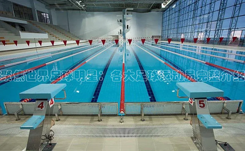 爱游戏ayx官网登录入口百度移动开放平台聚焦世界足球明星：各大足球运动员完整介绍