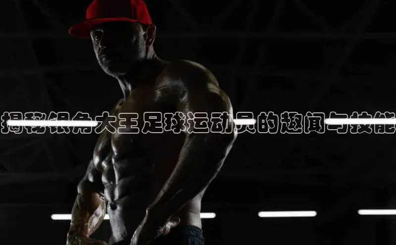 ayx·爱游戏APP登录入口梯哥哥科技揭秘银角大王足球运动员的趣闻与技能