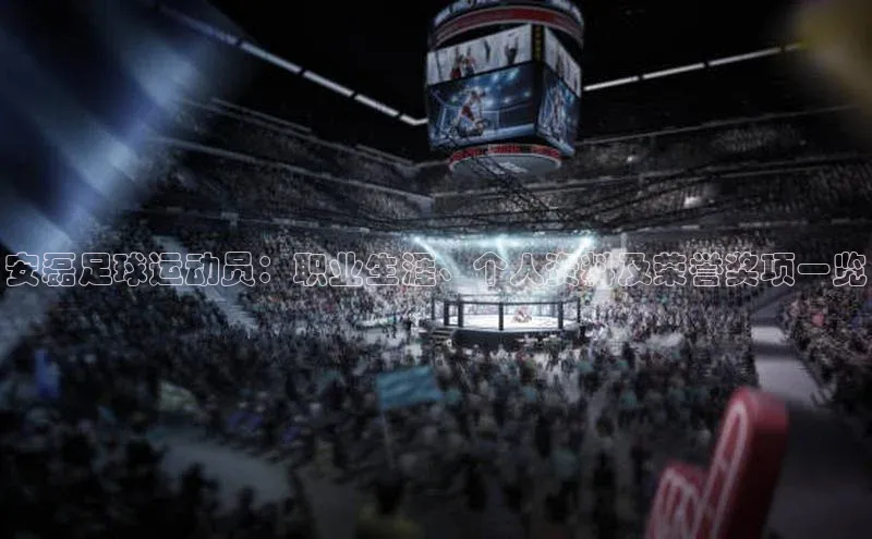 爱游戏app手机官方网站元隆雅图安磊足球运动员：职业生涯、个人资料及荣誉奖项一览