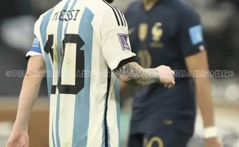 爱游戏登录入口网页版平台慧博云通《中国足球运动员注册人数究竟有多少?揭秘中国足球圈的人数统计数据》