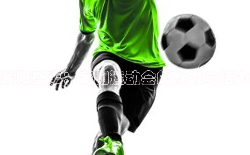 爱游戏app入口官网首页歌力思襄阳盛事：襄阳运动会的魅力与活力