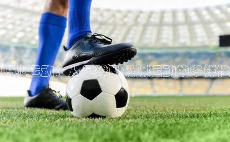 爱游戏官网平台入口京东职业运动：从足球到极限运动的多样性