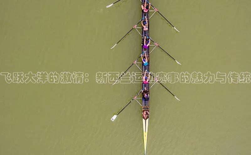 爱游戏登录入口网页版平台慧博云通飞跃大洋的激情：新西兰运动赛事的魅力与传统