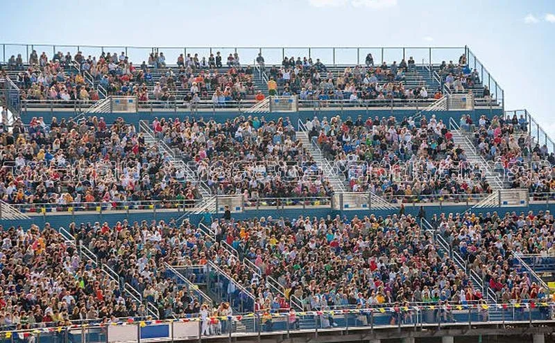 飞跃竞技巅峰：运动会赛事运营公司的创新策略与实践