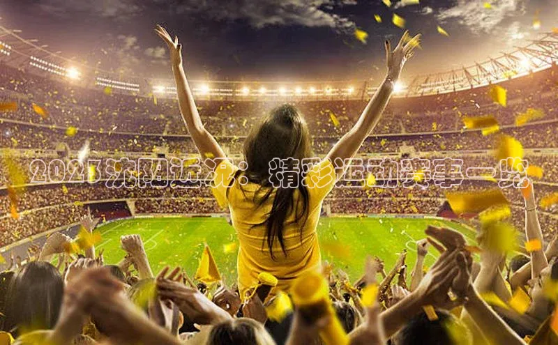 2023沈阳近况：精彩运动赛事一览