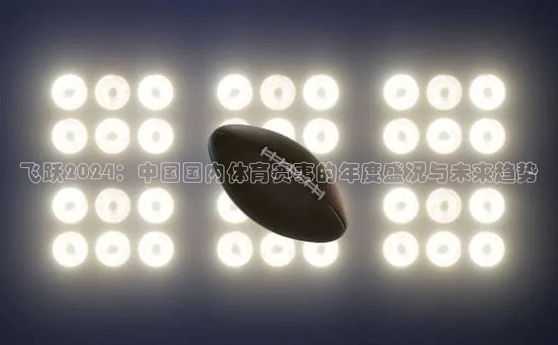 飞跃2024：中国国内体育赛事的年度盛况与未来趋势