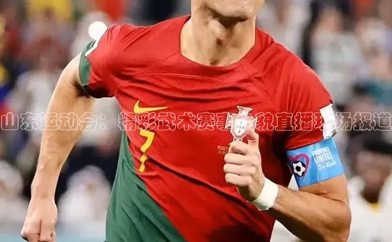 山东运动会：精彩武术赛事全貌直播现场报道