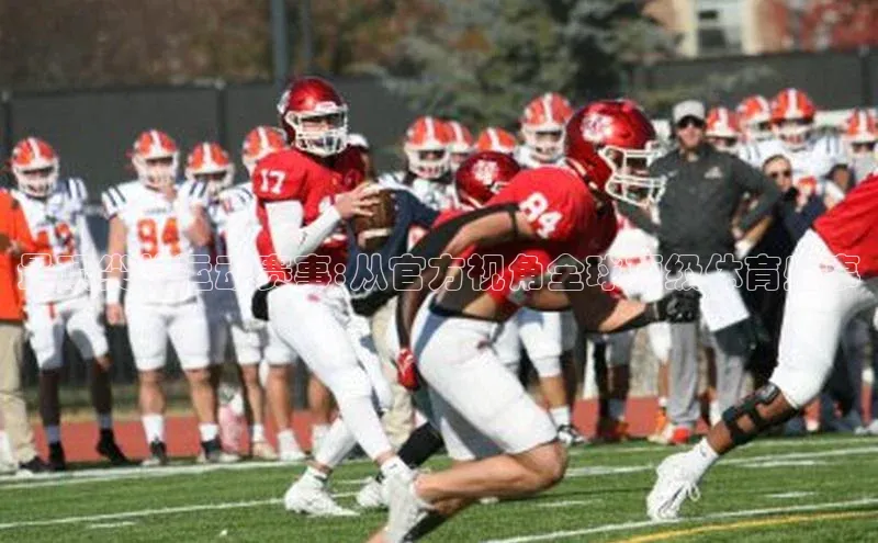 最顶尖的运动赛事:从官方视角全球顶级体育盛事