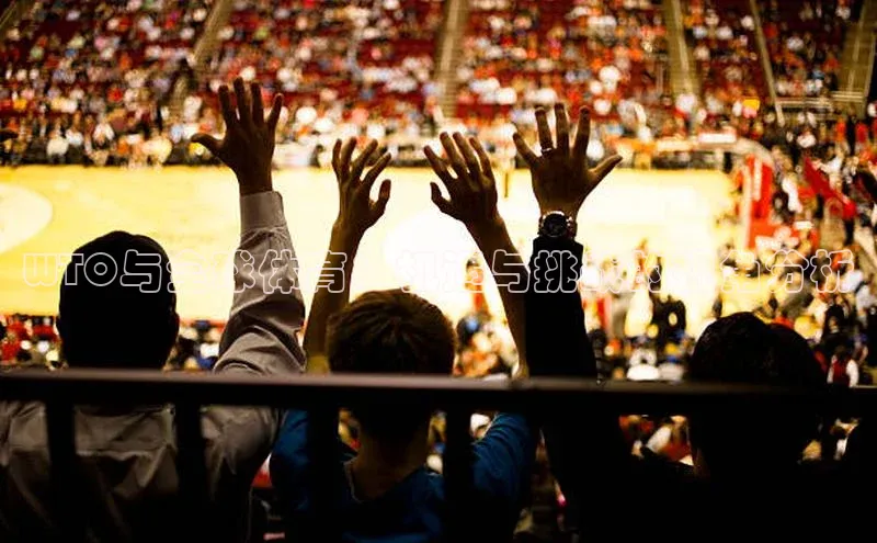 WTO与全球体育：机遇与挑战的视角分析