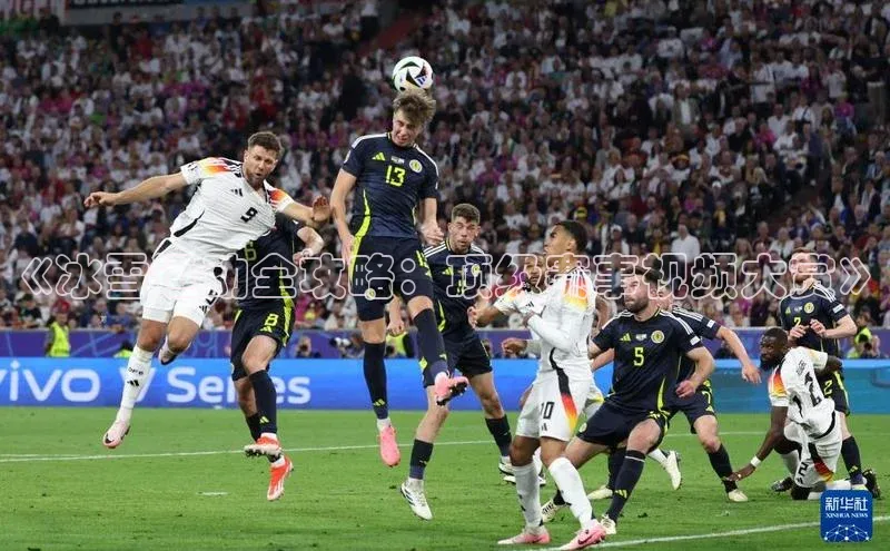 《冰雪运动全攻略：顶级赛事视频大赏》