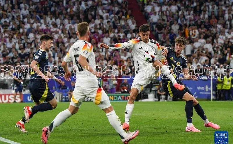 荣耀之路：运动会上的创新标识设计