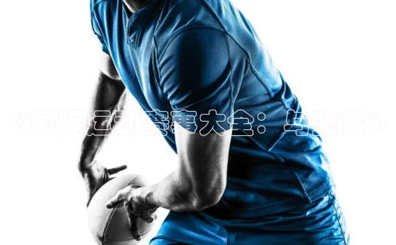 《国际运动赛事大全：与鉴赏》