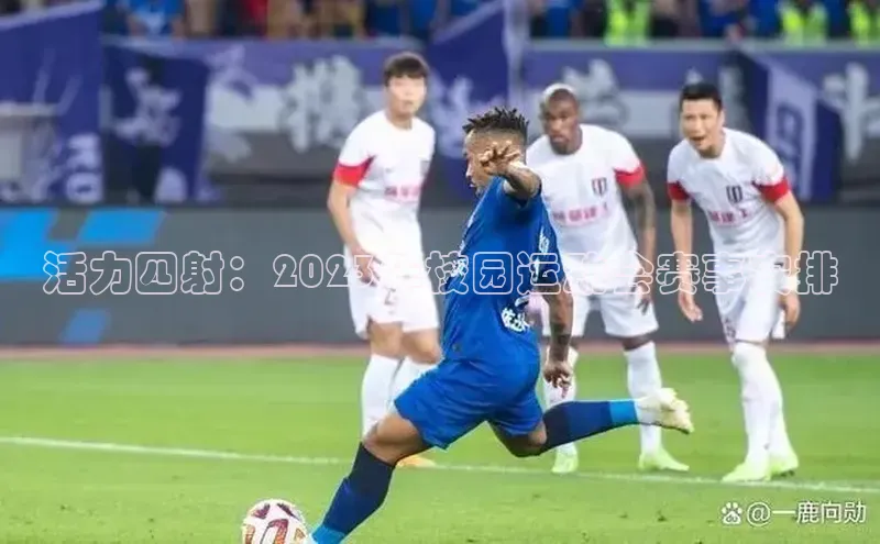 活力四射：2023年校园运动会赛事安排