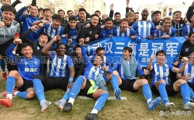 飞跃极限：顶级体育赛事中的卓越团队与运动团体力量