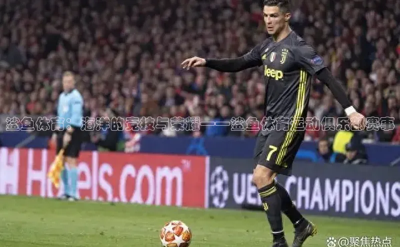 鲨鱼体育：海洋的竞技与荣耀——鲨鱼体育运动俱乐部赛事