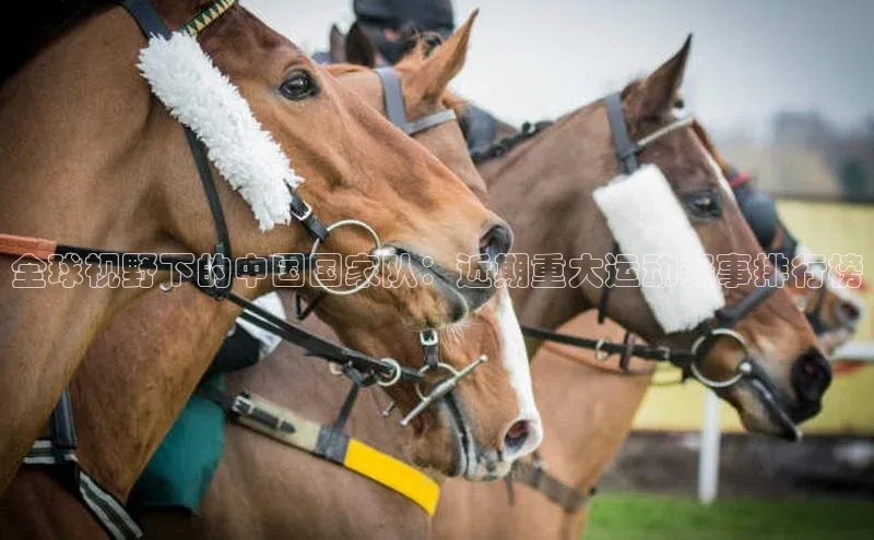 全球视野下的中国国家队：近期重大运动赛事排行榜