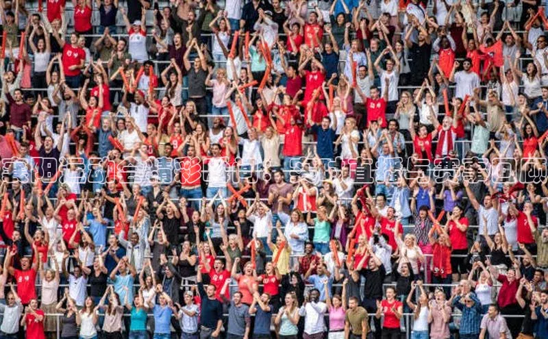 襄阳运动会精彩瞬间：实时直播与赛事回顾