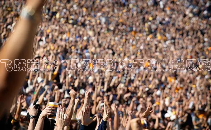 ayx游戏官网入口